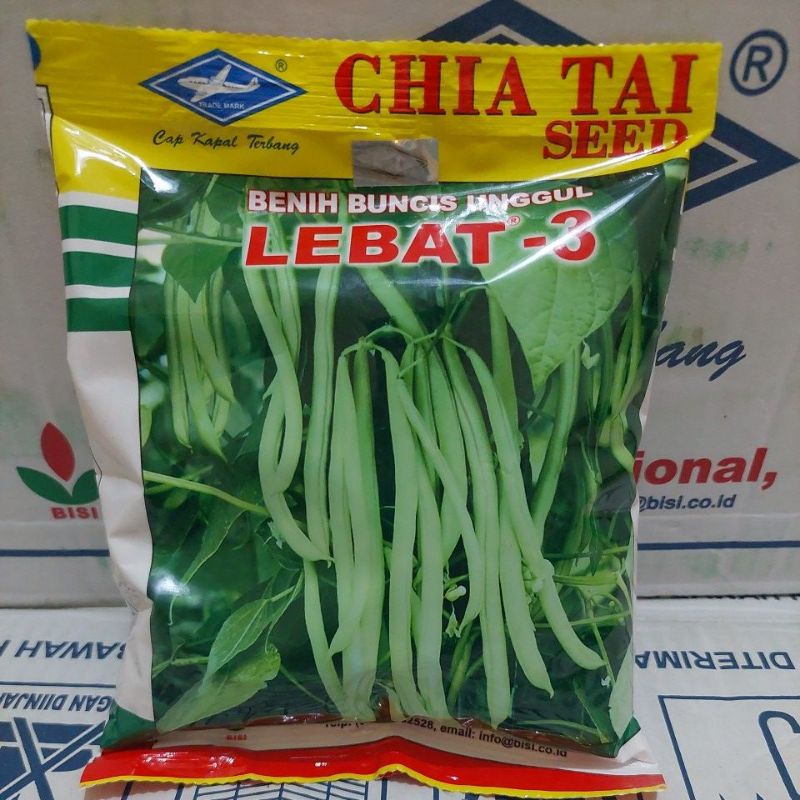 Benih Buncis Lebat 3 500gr