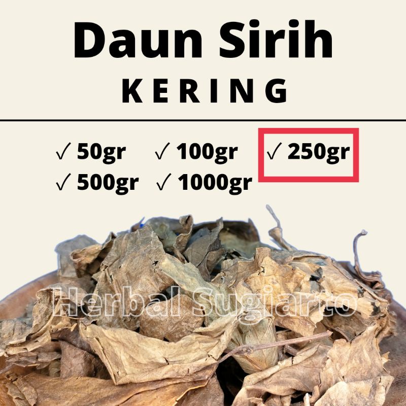 

GROSIR Daun Sirih Kering 1kg 1000gr 500gr 250gr 100gr 50gr Kualitas BAGUS / Daun Suruh Kering 250gr