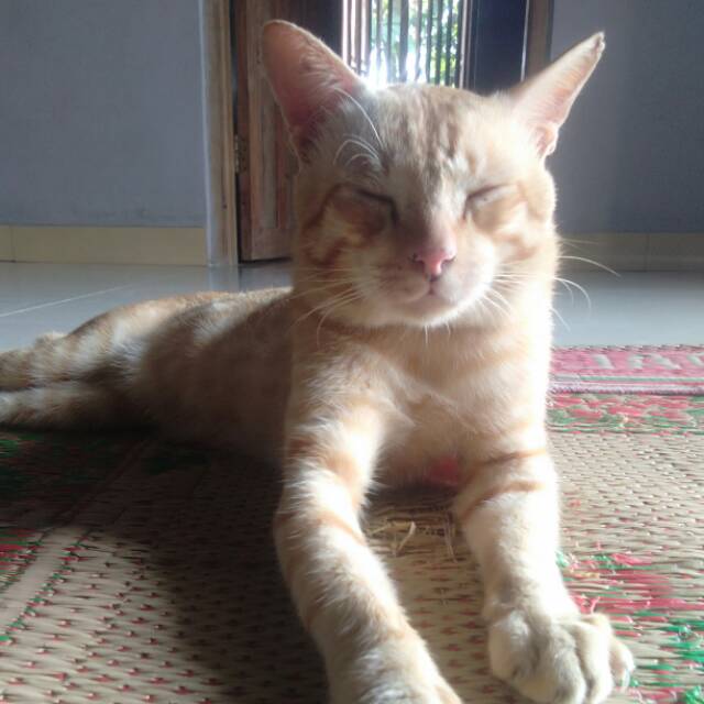 ekasumbawati