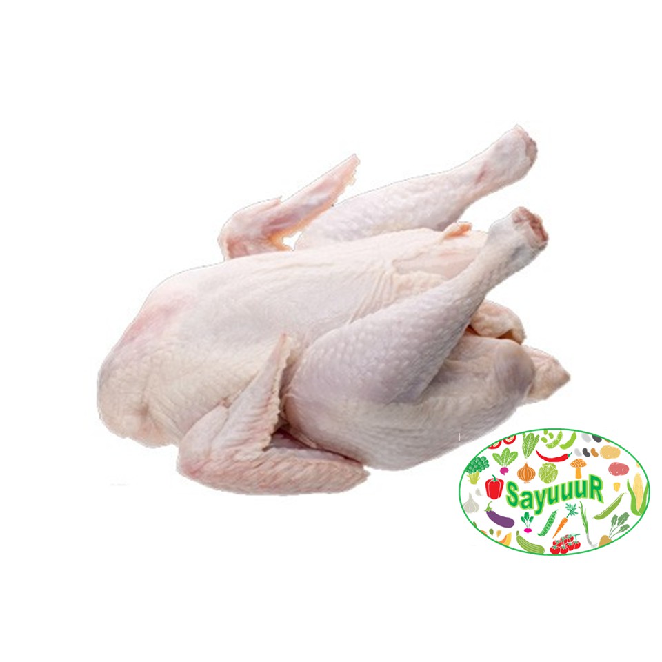 

ayam potong/ayam broiler 1-2kg