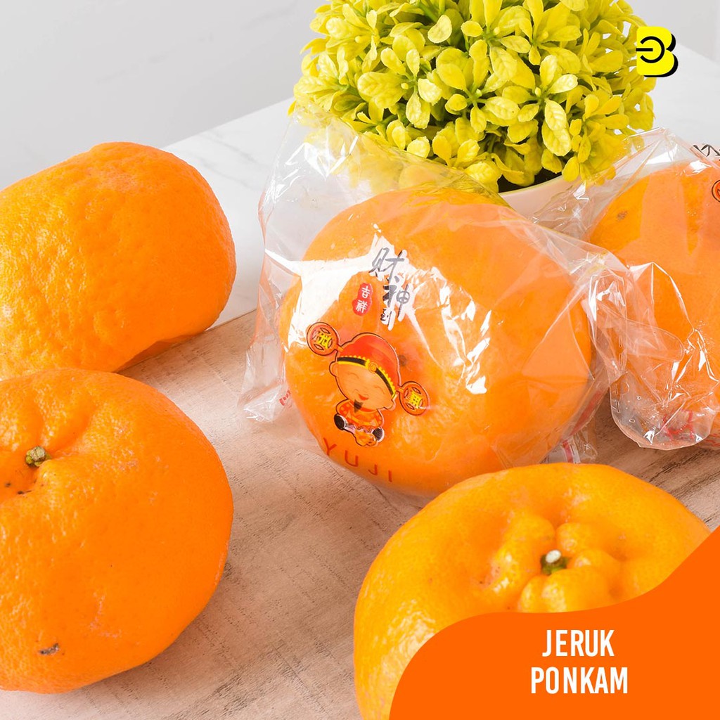 

JERUK YUJI CITRUS PONKAM BELIDIKITA BANDUNG | JERUK MANDARIN TERBAIK | PROMO JERUK PONKAM MURAH