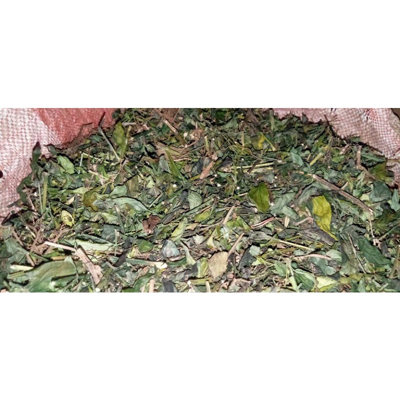 

daun Sambiloto kering (asli Gunungkidul)500g/pcs