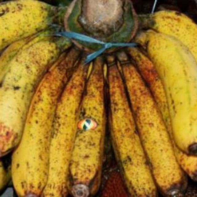 

PISANG BARANGAN jumbo/ SISIR