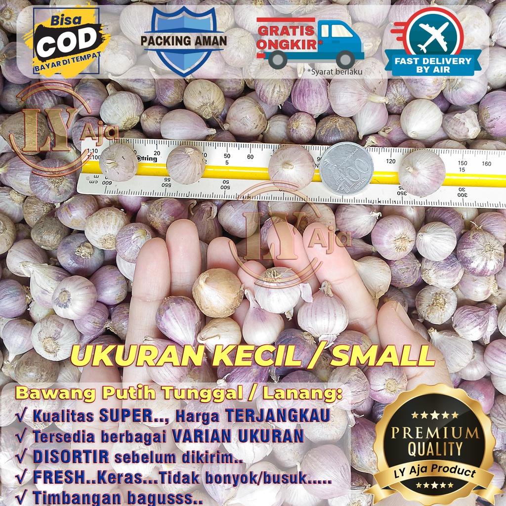 Bawang Putih Tunggal Lanang Impor 250 Gram KECIL SEDANG BESAR JUMBO Kualitas Super LY Aja 250 Gr