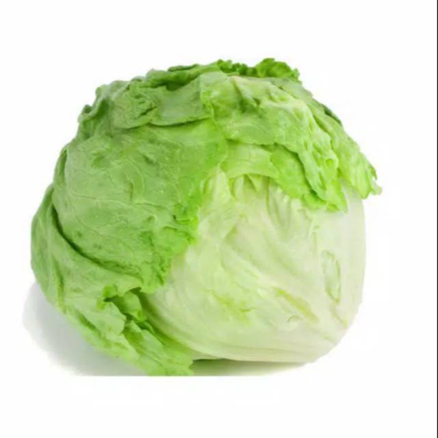 

Letuce/lotus 500 gram