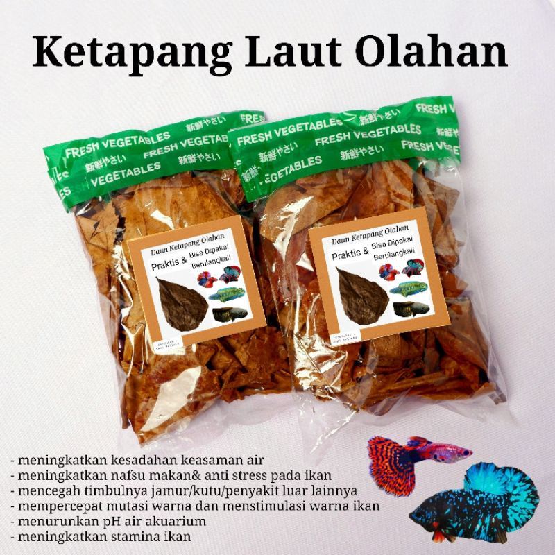 daun Ketapang laut olahan beli 10 bonus 3 free stiker