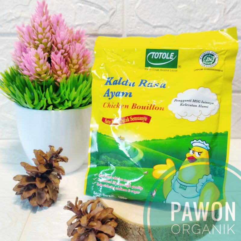 TOTOLE KALDU Ayam 100gr HALAL pengganti MSG lainnya bukan NON MSG MPASI Jamur 80gr 200gr kaldu vegan