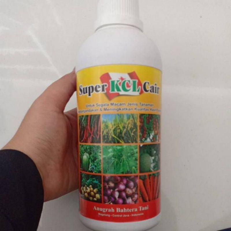 SUPER KCL CAIR 500ml anti rontok anti keriting pembesar buah