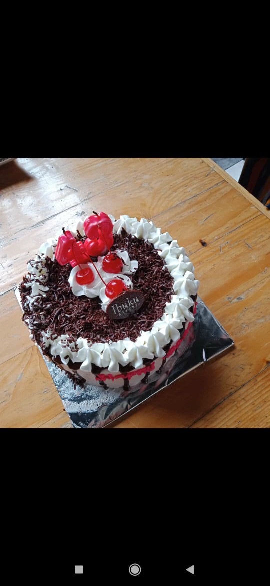 40mm Anti Maling Gembok Besi Silver Pin Digital Nomor Anti Maling 40mm 10 Digit Serbaguna Original