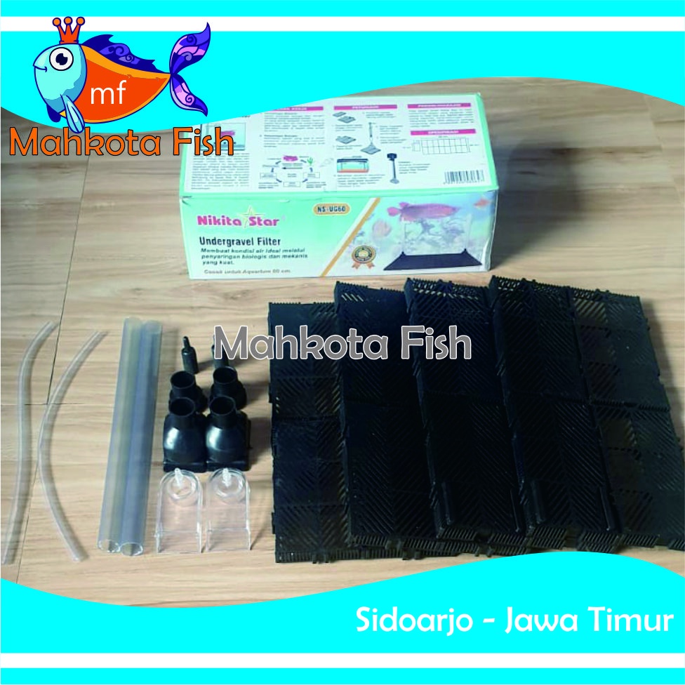 Filter Undergravel Aquarium 60cm | Undergravel Aquascape (FREE KARDUS)