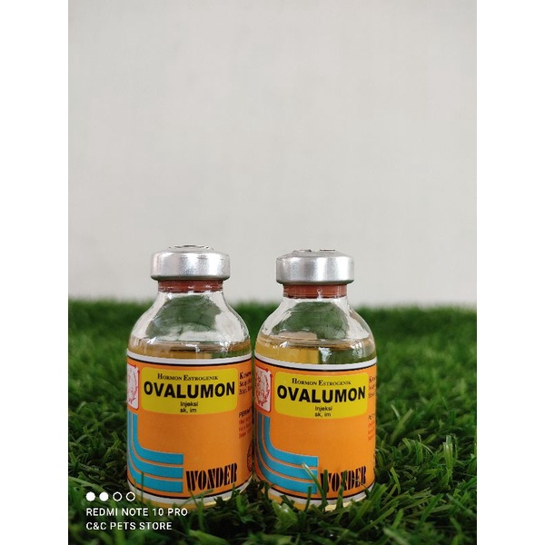 Ovalumon Injeksi 20 ml penambah birahi untuk hewan peliharaan (betina)