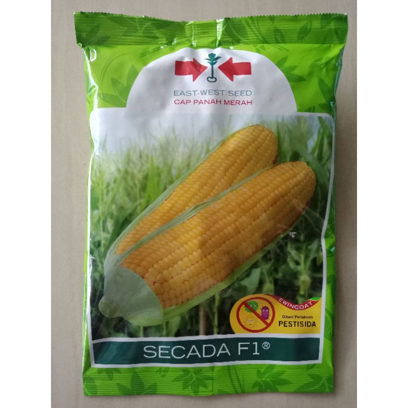 SECADA F1 Cap Panah Merah Benih Jagung Manis isi 1800 Butir Bibit Scada