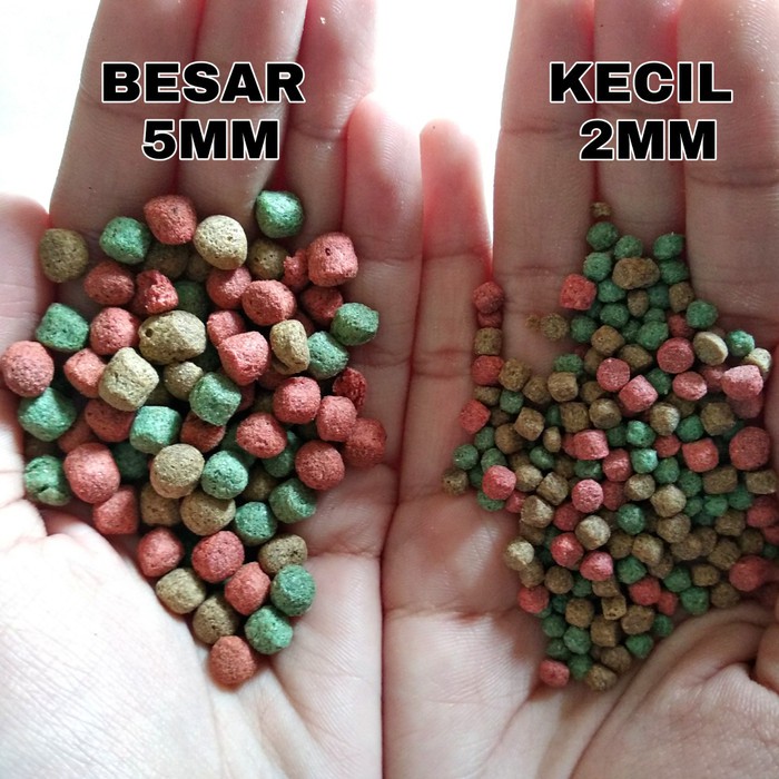 turtle pelet food makanan pakan kura kura air brazil res katak pacman   besar 5mm