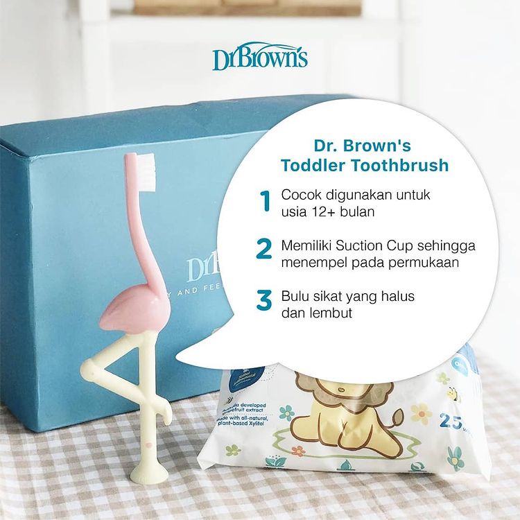 DR BROWNS TODDLER TOOTHBRUSH - DINOSAUR / 1-4 TAHUN