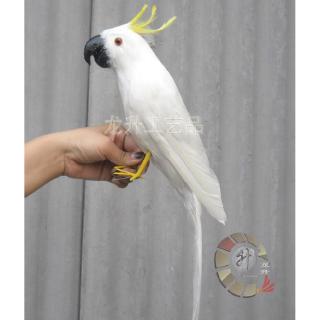 toy cockatoo