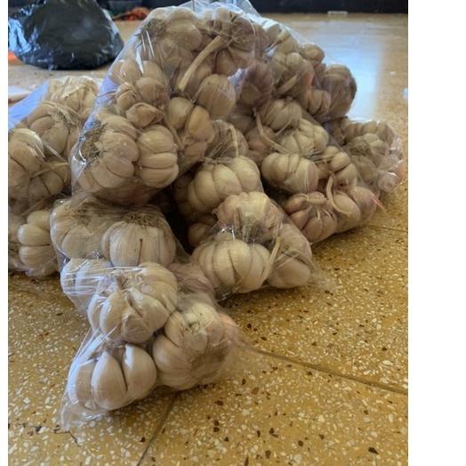 

㊔ bawang putih 1kg + packing kardus ㄸ