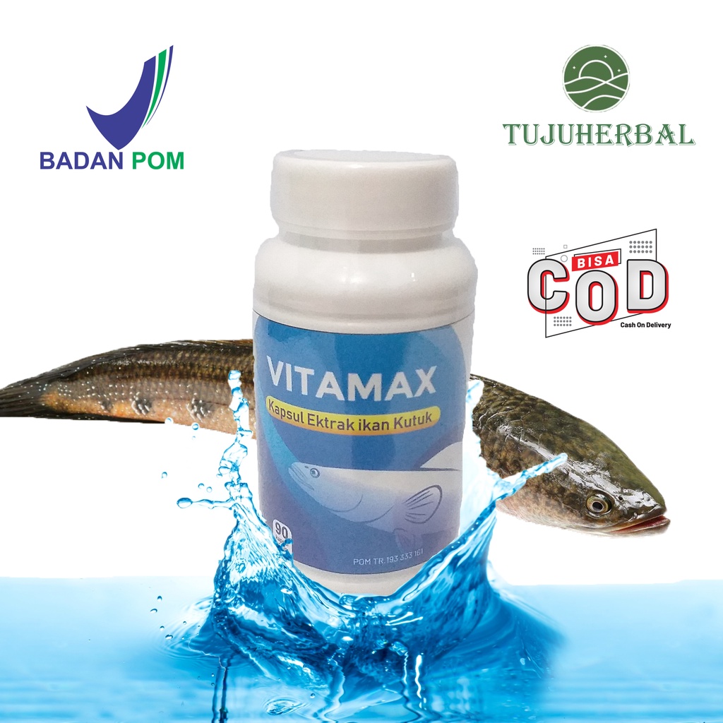 KAPSUL KUTUK PREMIUM IKAN GABUS VITAMAX - Obat Herbal Pengering Luka Diabetes Pasca Oprasi Cesar dll
