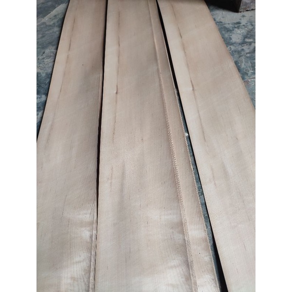 Veneer kayu maple plain import