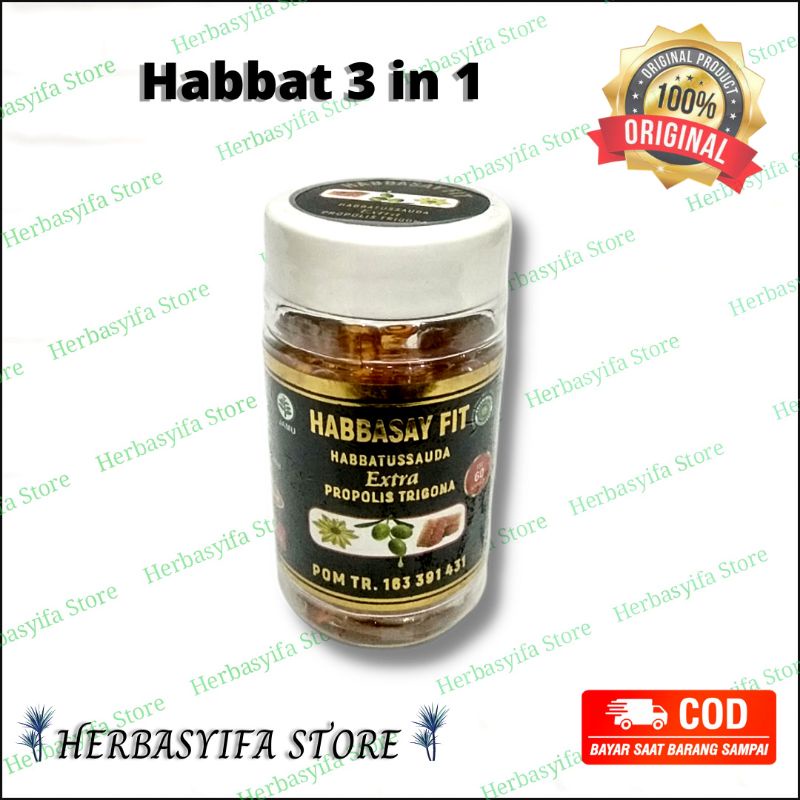 Habbasay Fit 60 Kapsul - Habbatussauda Plus Propolis Trigona  Habbats 3in1