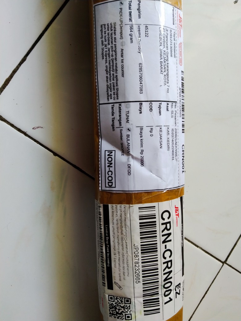 Gomprena/knop Putih