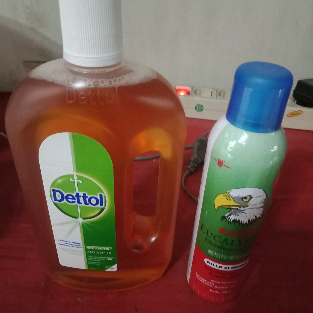 Caplang Eagle Eucalyptus Disinfectan Spray 280ml