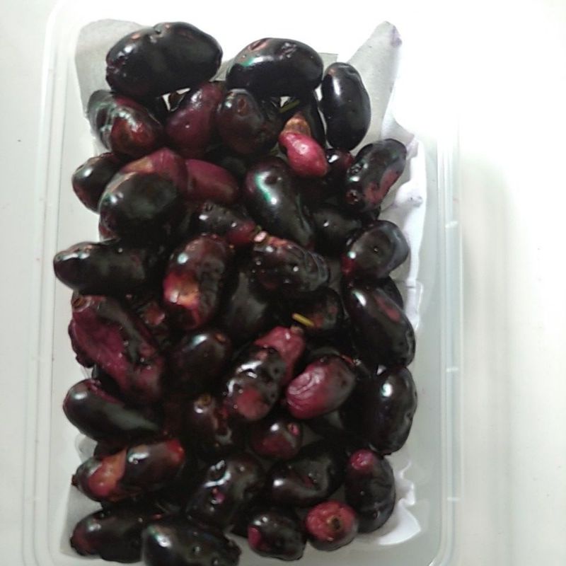 

Jamblang Juwet Duwet segar