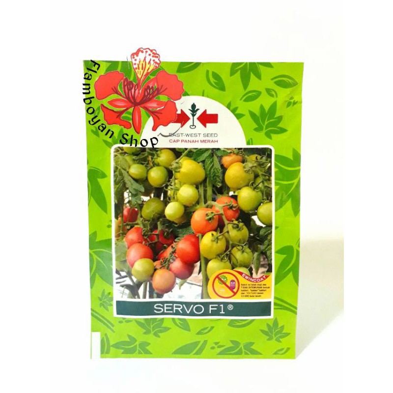Benih tomat SERVO hibrida F1 10 gram