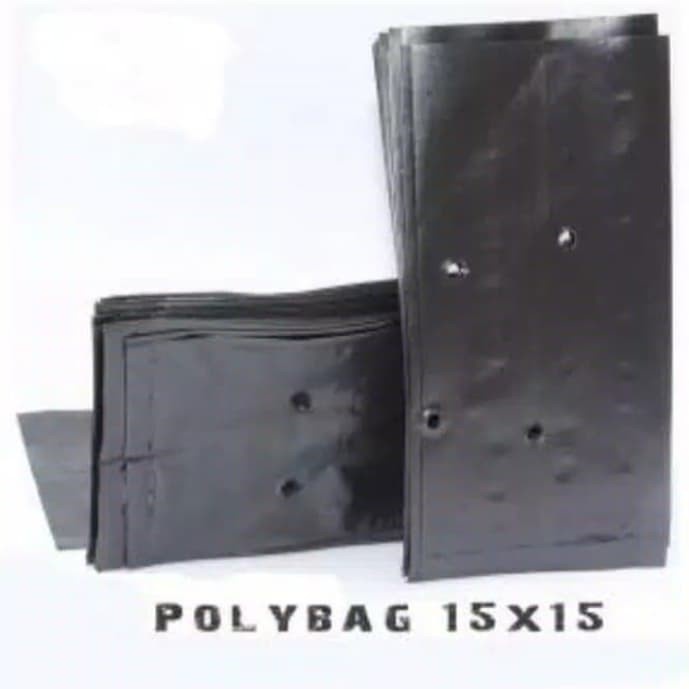 Polybag 15X15 isi 10