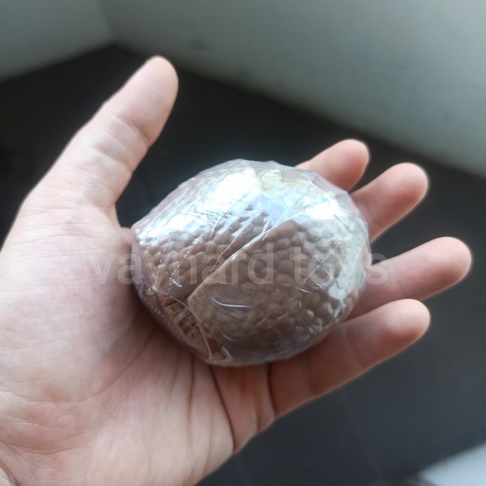 Promo Dango Mushi Gashapon Figure Armadillo Figure Normal Version Termurah