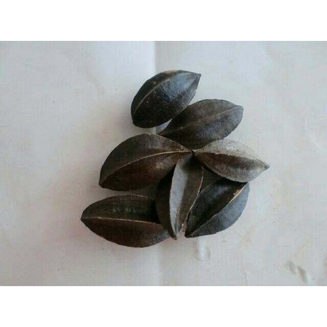 

100 G GR GRAM SHI JUN ZI QUISQUALIS RANGOON CREEPER FRUIT WITH SEEDS