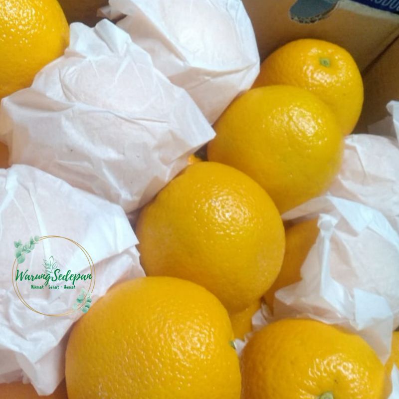 

Jeruk Sunkist 1 kg Sunkist Navel Jeruk Import Segar Buah Segar Cikarang