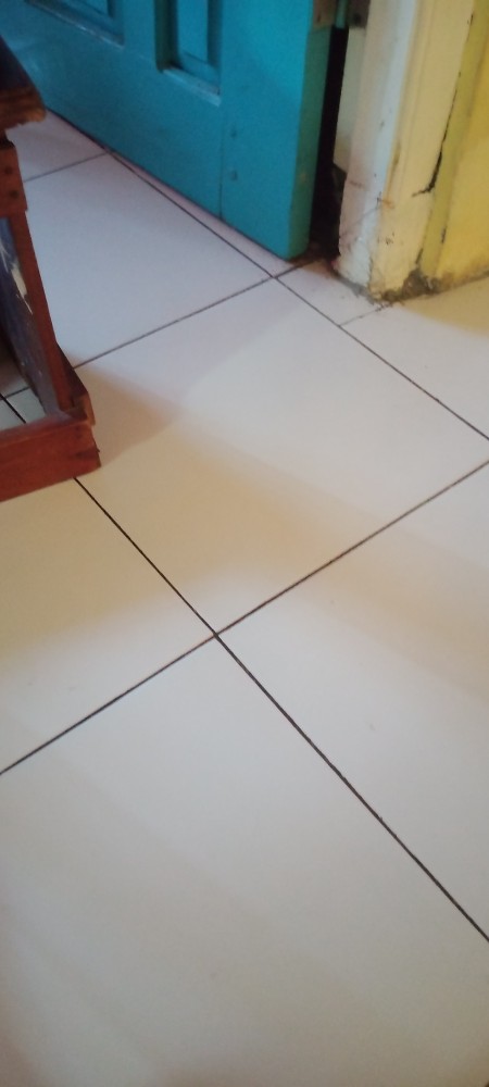 Cetakan Putu Ayu Bulat Bahan Plastik