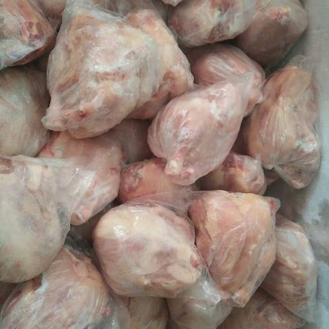 

Ayam karkas 05-06