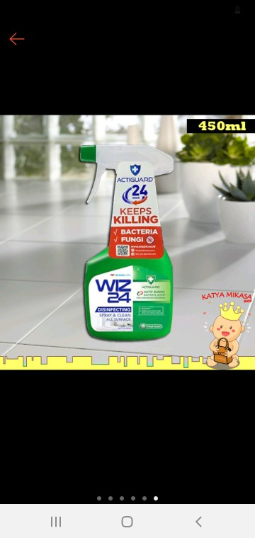 Wiz 24 Spray & Clean Disinfectant - Wings