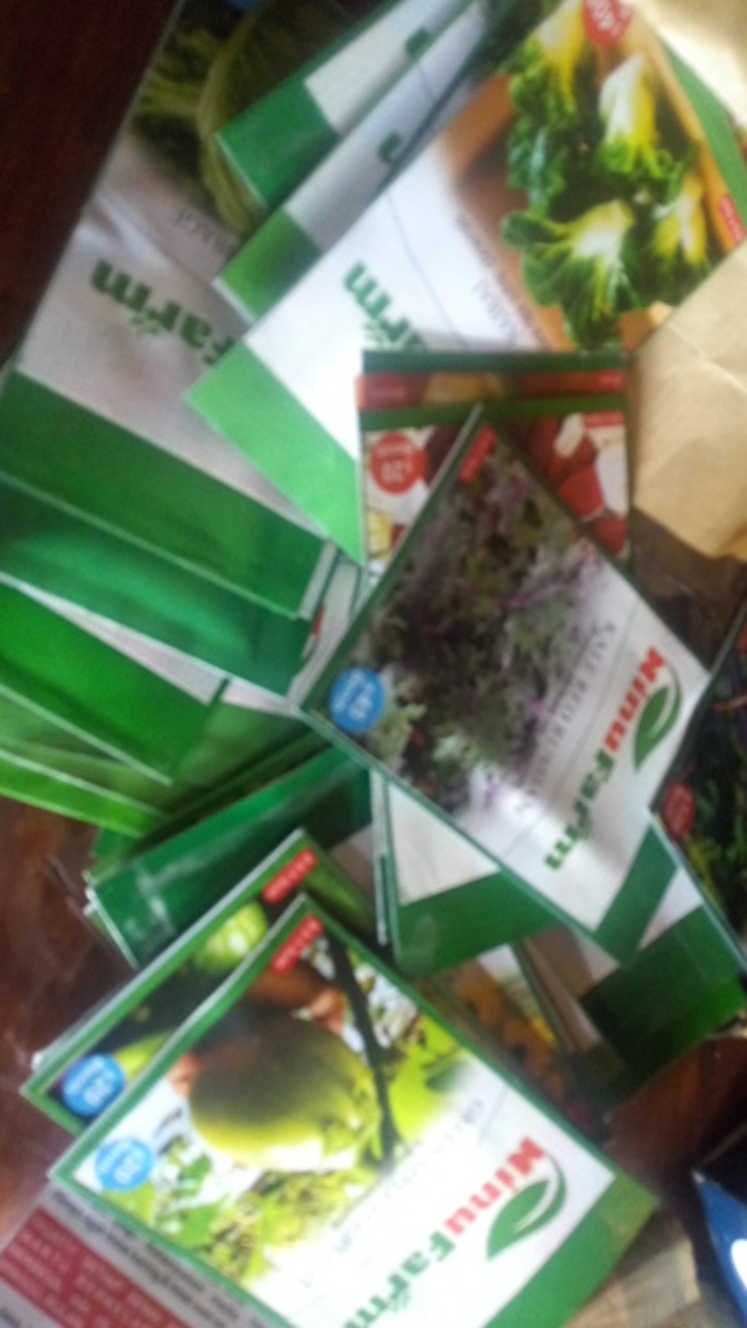 Benih Timun Lalap/baby Cucumber 50seeds