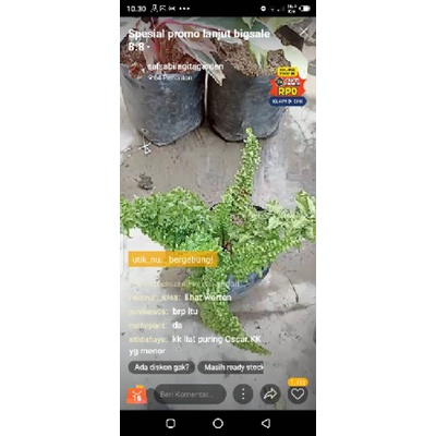 live tgl 09 ags deal kak @sukacolectionyogyakarta dondong laut dan suplir