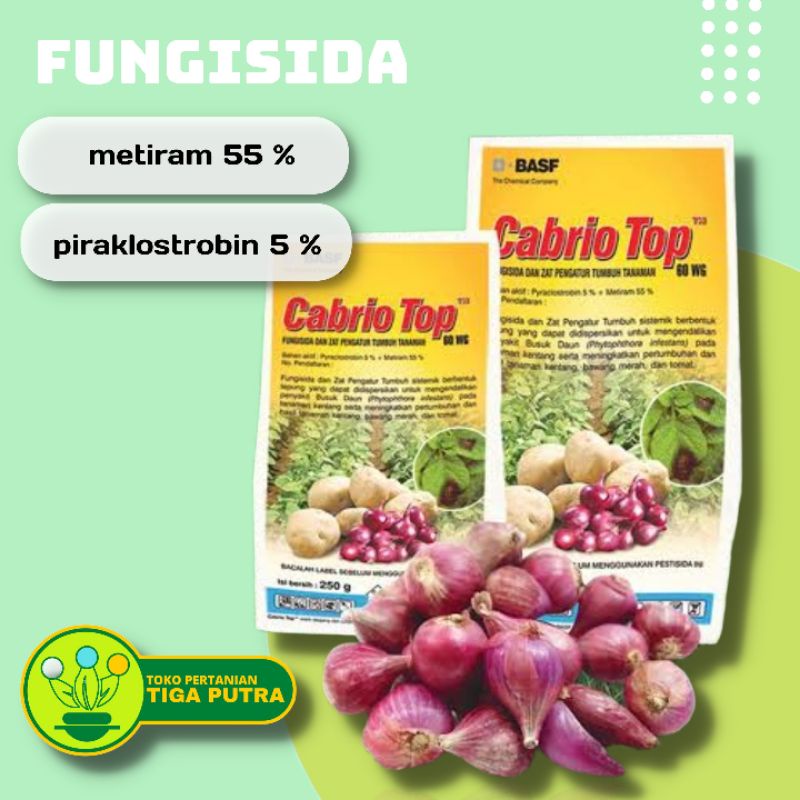 Fungisida Cabrio Top 60 WG 500