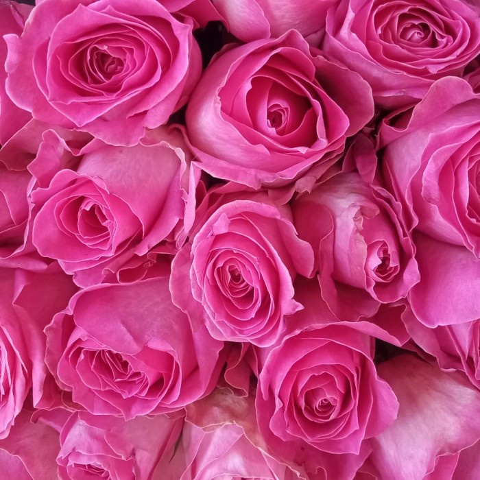 

bunga box mawar/kado ultah/bunga wisuda - Merah Muda