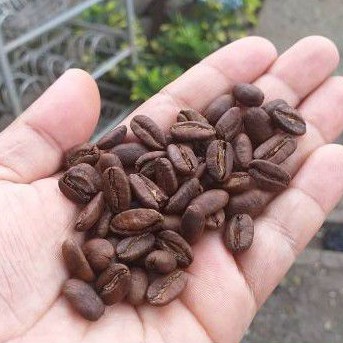 

kopi Gayo Loong berry rose Beans 1kg