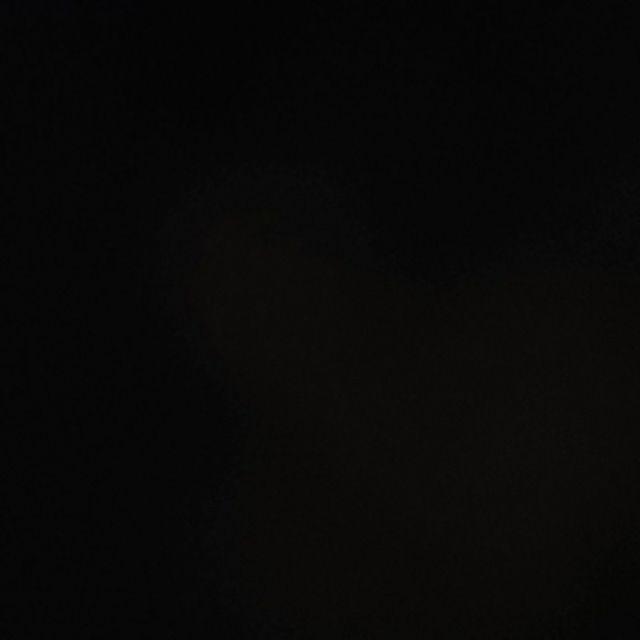 Hiasan Dinding Walldecor Pajangan Dinding Shabby Chic Tulip Wp 11