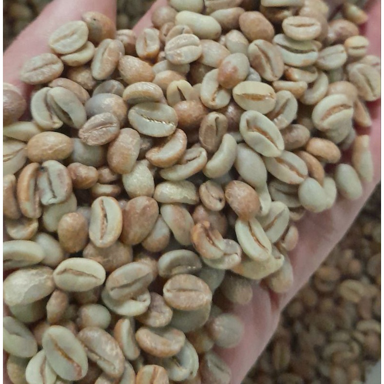 

Arabika - Green Bean - Gunung Halu - Honey Process (crop 2024)
