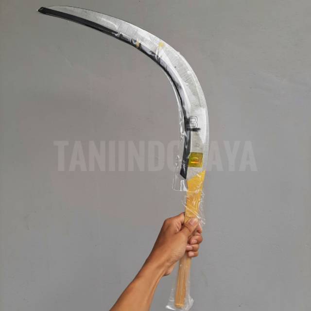 rahmanfirdaus