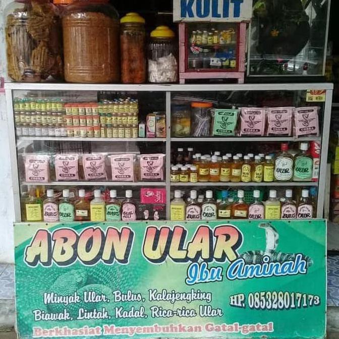 

BMT SHOP Abon Kadal Asli Ibu Aminah MANTUL
