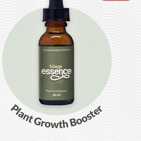 ♣ FOLIAGE ESSENCE - Plant Growth Booster Petani Daun ☎