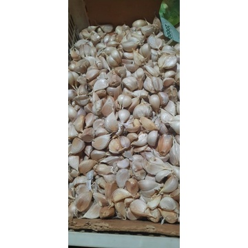 

bawang kating segar250gr