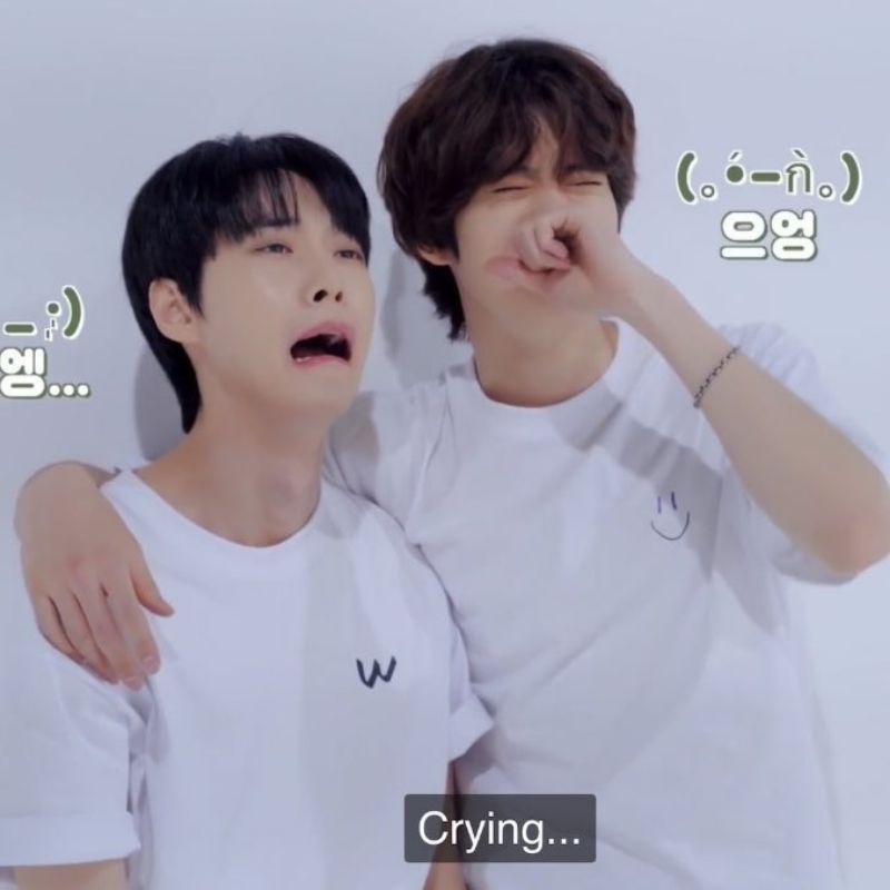 Official Pc Renjun Hot Sauce Crazy ver Set/baca desc