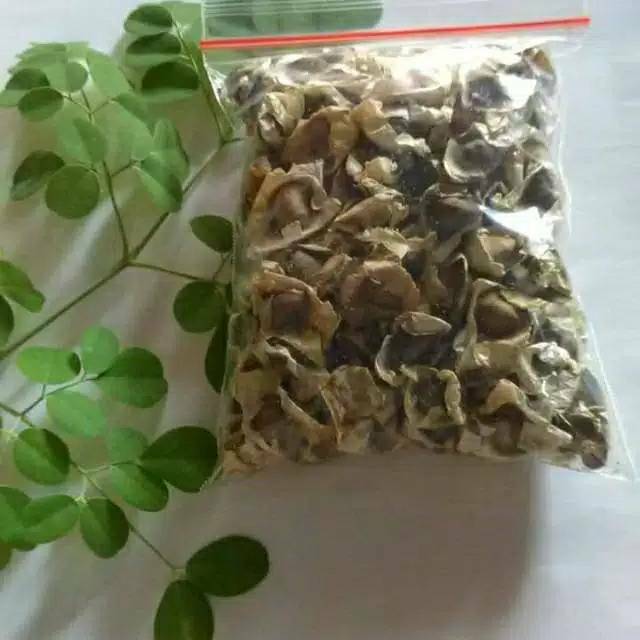 Jual Biji Kelor Bersayap Biji Kelor Kupas Shopee Indonesia