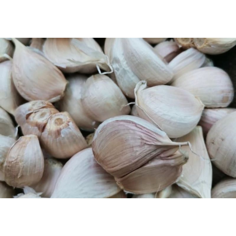 

Bawang Putih Kating Bersih ½ Kg