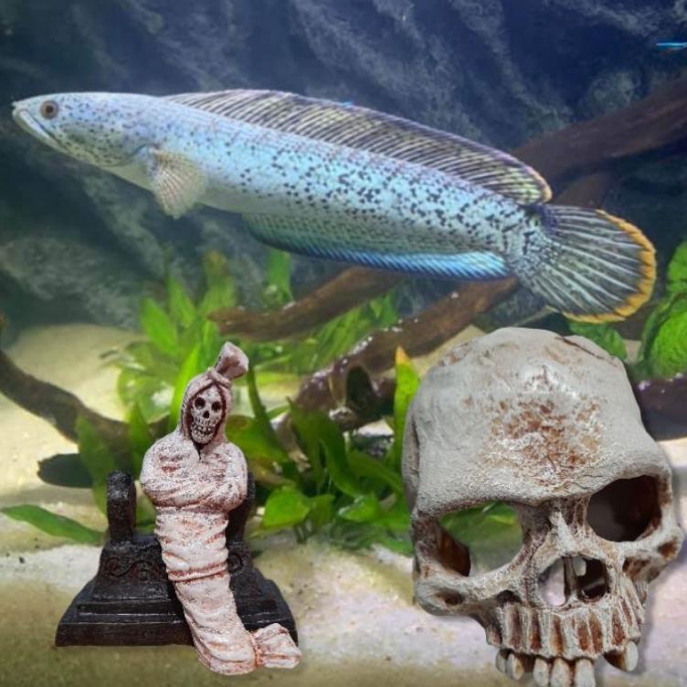 [JLL.25Au22ᵟ] hiasan aquarium dekorasi aksesoris miniatur bonsai miniatur tengkorak pocong akuarium 