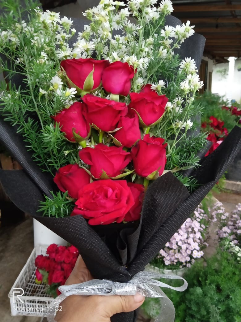 Matrix Stik Semprot Sprayer Lurus 20cm